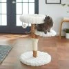 Frisco Natural Wood Modern Cat Tree With Toy, Ivory, Medium -Pet Cat Supplies Shop 236561 MAIN. AC SS1800 V1616521947