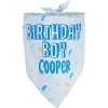 Frisco Birthday Boy Personalized Dog & Cat Bandana -Pet Cat Supplies Shop 238329 MAIN. AC SS1800 V1597896415
