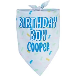 Frisco Birthday Boy Personalized Dog & Cat Bandana