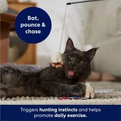 Frisco Zoomies & Chill Popcorn Teaser Wand Cat Toy With Catnip 10 Frisco Zoomies & Chill Popcorn Teaser Wand Cat Toy With Catnip -Pet Cat Supplies Shop 241713 PT5. AC SS1800 V1691785246