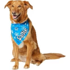 Frisco Blue Snowflakes Personalized Dog & Cat Bandana 16 Frisco Blue Snowflakes Personalized Dog & Cat Bandana -Pet Cat Supplies Shop 242803 PT6. AC SS1800 V1618511278