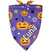 Frisco Halloween Pumpkins Personalized Dog & Cat Bandana -Pet Cat Supplies Shop 242815 MAIN. AC SS1800 V1701983007