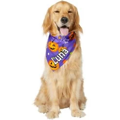 Frisco Halloween Pumpkins Personalized Dog & Cat Bandana -Pet Cat Supplies Shop 242815 PT6. AC SS1800 V1618509475
