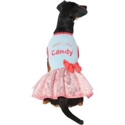 Frisco Sweet Like Candy Dog & Cat Dress -Pet Cat Supplies Shop 248666 PT2. AC SS1800 V1632421633