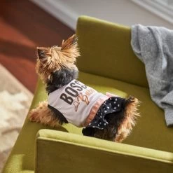 Frisco Boss Babe Dog & Cat Dress -Pet Cat Supplies Shop 248674 PT7. AC SS1800 V1613666625