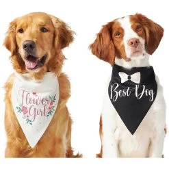 Frisco Wedding Reversible Dog & Cat Bandana -Pet Cat Supplies Shop 248712 PT2. AC SS1800 V1632429387