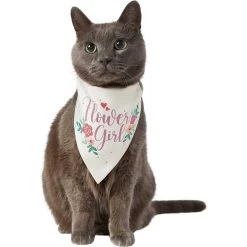 Frisco Wedding Reversible Dog & Cat Bandana -Pet Cat Supplies Shop 248712 PT3. AC SS1800 V1632431176