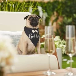 Frisco Wedding Reversible Dog & Cat Bandana -Pet Cat Supplies Shop 248712 PT5. AC SS1800 V1632432987