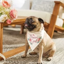 Frisco Wedding Reversible Dog & Cat Bandana -Pet Cat Supplies Shop 248712 PT6. AC SS1800 V1632430655