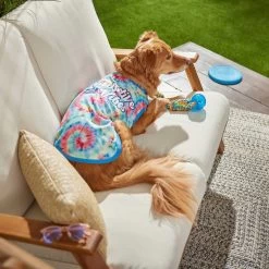 Frisco Pawsitive Vibes Tiedye Print Dog & Cat T-Shirt 14 Frisco Pawsitive Vibes Tiedye Print Dog & Cat T-Shirt -Pet Cat Supplies Shop 248783 PT5. AC SS1800 V1637687526