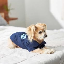 Frisco Dog & Cat Polo Shirt With Accent Pocket -Pet Cat Supplies Shop 248880 PT7. AC SS1800 V1644960683