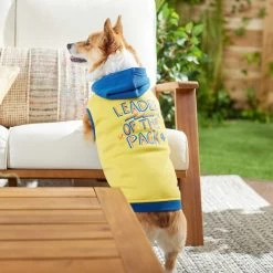 Frisco Leader Of The Pack Dog & Cat Hoodie -Pet Cat Supplies Shop 248905 PT5. AC SS1800 V1637682701