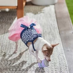 Frisco Leopard Print Dog & Cat Dress -Pet Cat Supplies Shop 249051 PT5. AC SS1800 V1644960386