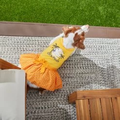 Frisco Fun In The Sun Dog & Cat Dress -Pet Cat Supplies Shop 249058 PT7. AC SS1800 V1614094230