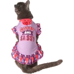 Frisco Cute & Sassy Dog & Cat Dress 11 Frisco Cute & Sassy Dog & Cat Dress -Pet Cat Supplies Shop 249073 PT2. AC SS1800 V1644959826
