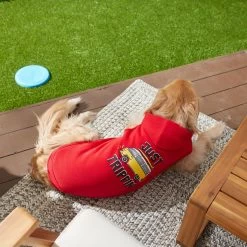 Frisco Just Trippin' Dog & Cat Hoodie -Pet Cat Supplies Shop 249086 PT7. AC SS1800 V1614361932