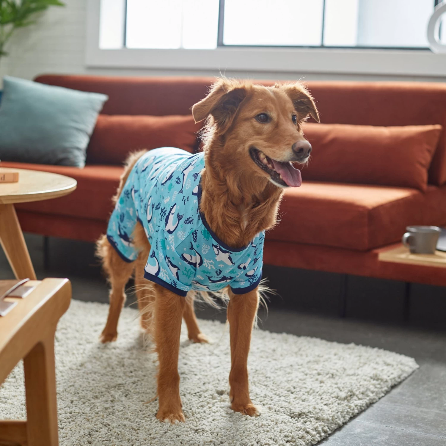 Frisco Happy Shark Dog & Cat Jersey PJs 8 Frisco Happy Shark Dog & Cat Jersey PJs - Image 6