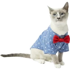 Frisco Polka Dot Chambray Dog & Cat Button Up Shirt -Pet Cat Supplies Shop 249162 PT2. AC SS1800 V1614202882