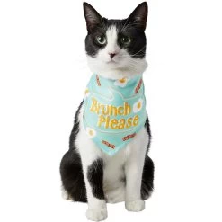 Frisco Brunch Please Dog & Cat Bandana -Pet Cat Supplies Shop 249207 PT2. AC SS1800 V1696597732