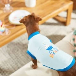 Frisco It's My Birthday & Cat T-Shirt -Pet Cat Supplies Shop 249249 PT7. AC SS1800 V1614289318