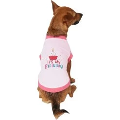 Frisco It's My Birthday Dog & Cat T-Shirt, Pink -Pet Cat Supplies Shop 249255 PT2. AC SS1800 V1624608150