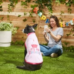 Frisco It's My Birthday Dog & Cat T-Shirt, Pink -Pet Cat Supplies Shop 249255 PT7. AC SS1800 V1614289423