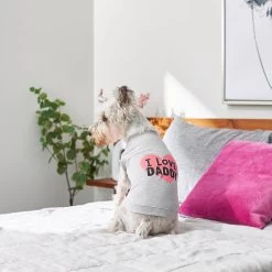 Frisco I Love Daddy Dog & Cat T-Shirt, Gray 15 Frisco I Love Daddy Dog & Cat T-Shirt, Gray -Pet Cat Supplies Shop 249263 PT7. AC SS1800 V1614284197