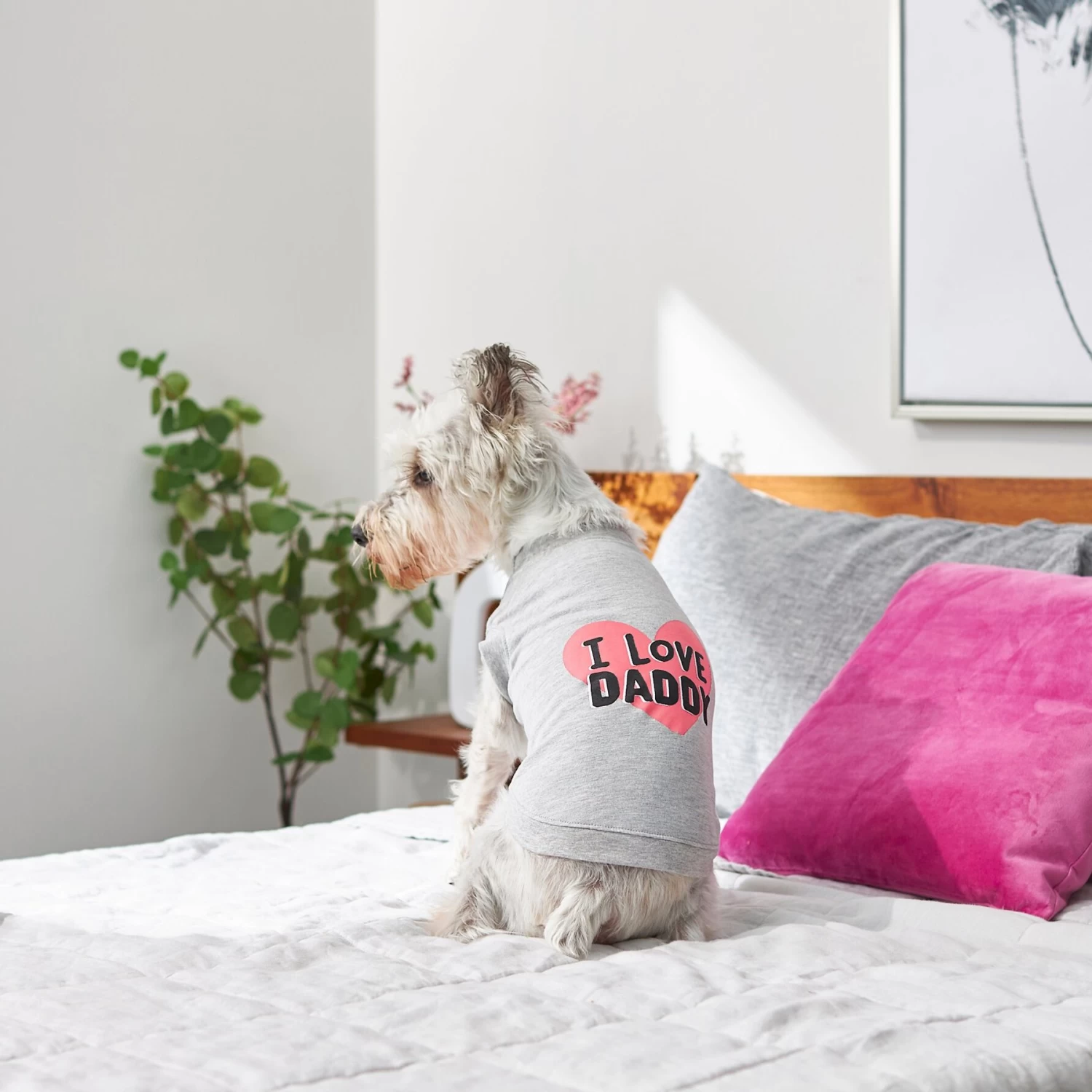 Frisco I Love Daddy Dog & Cat T-Shirt, Gray 9 Frisco I Love Daddy Dog & Cat T-Shirt, Gray - Image 7