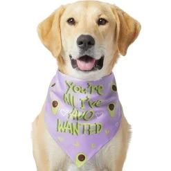 Frisco You're All I've Avo Wanted Dog & Cat Bandana 11 Frisco You're All I've Avo Wanted Dog & Cat Bandana -Pet Cat Supplies Shop 249292 PT2. AC SS1800 V1637723806
