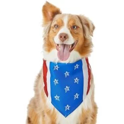 Frisco Stars & Stripes Dog & Cat Bandana 12 Frisco Stars & Stripes Dog & Cat Bandana -Pet Cat Supplies Shop 249329 PT2. AC SS1800 V1632418569