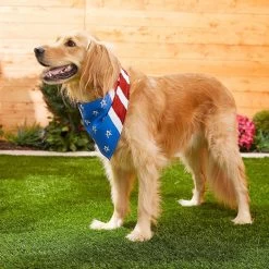 Frisco Stars & Stripes Dog & Cat Bandana 15 Frisco Stars & Stripes Dog & Cat Bandana -Pet Cat Supplies Shop 249329 PT5. AC SS1800 V1632433280