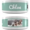 Frisco Playful Kitty Ceramic Personalized Cat Bowl, 1-cup, 8oz -Pet Cat Supplies Shop 250841 MAIN. AC SS1800 V1602625886