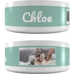 Frisco Playful Kitty Ceramic Personalized Cat Bowl, 1-cup, 8oz