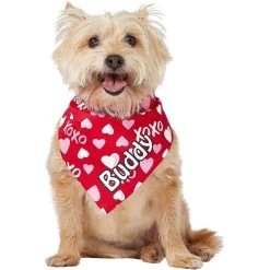 Frisco XOXO Hearts Personalized Dog & Cat Bandana 17 Frisco XOXO Hearts Personalized Dog & Cat Bandana -Pet Cat Supplies Shop 254203 PT6. AC SS1800 V1632427913
