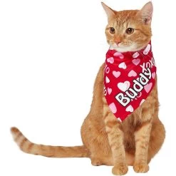 Frisco XOXO Hearts Personalized Dog & Cat Bandana 18 Frisco XOXO Hearts Personalized Dog & Cat Bandana -Pet Cat Supplies Shop 254203 PT7. AC SS1800 V1632417974