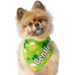 Frisco Green Ale Personalized Dog & Cat Bandana -Pet Cat Supplies Shop 254207 PT6. AC SS1800 V1618509755