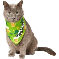 Frisco Green Ale Personalized Dog & Cat Bandana -Pet Cat Supplies Shop 254207 PT7. AC SS1800 V1618510956
