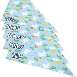 Frisco Easter Bunny Personalized Dog & Cat Bandana -Pet Cat Supplies Shop 254211 PT4. AC SS1800 V1618511521