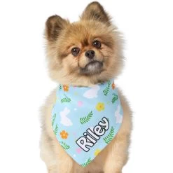 Frisco Easter Bunny Personalized Dog & Cat Bandana -Pet Cat Supplies Shop 254211 PT6. AC SS1800 V1618509425