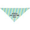 Frisco Big Brother Personalized Dog & Cat Bandana -Pet Cat Supplies Shop 254231 MAIN. AC SS1800 V1633064216