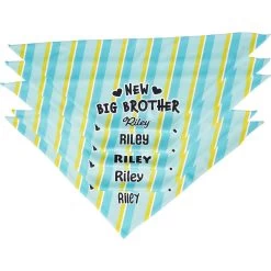 Frisco Big Brother Personalized Dog & Cat Bandana 15 Frisco Big Brother Personalized Dog & Cat Bandana -Pet Cat Supplies Shop 254231 PT4. AC SS1800 V1633065997