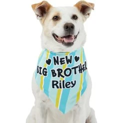 Frisco Big Brother Personalized Dog & Cat Bandana 17 Frisco Big Brother Personalized Dog & Cat Bandana -Pet Cat Supplies Shop 254231 PT6. AC SS1800 V1633071398