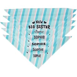 Frisco Big Sister Personalized Dog & Cat Bandana 15 Frisco Big Sister Personalized Dog & Cat Bandana -Pet Cat Supplies Shop 254235 PT4. AC SS1800 V1619558530