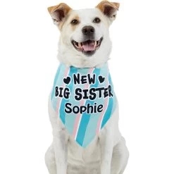 Frisco Big Sister Personalized Dog & Cat Bandana 17 Frisco Big Sister Personalized Dog & Cat Bandana -Pet Cat Supplies Shop 254235 PT6. AC SS1800 V1619558258