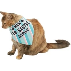 Frisco Big Sister Personalized Dog & Cat Bandana 18 Frisco Big Sister Personalized Dog & Cat Bandana -Pet Cat Supplies Shop 254235 PT7. AC SS1800 V1619560404