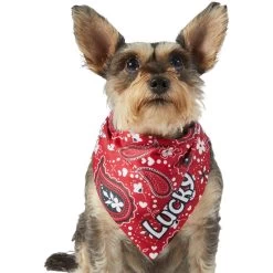 Frisco Paisley Printed Personalized Dog & Cat Bandana -Pet Cat Supplies Shop 254247 PT6. AC SS1800 V1618507975