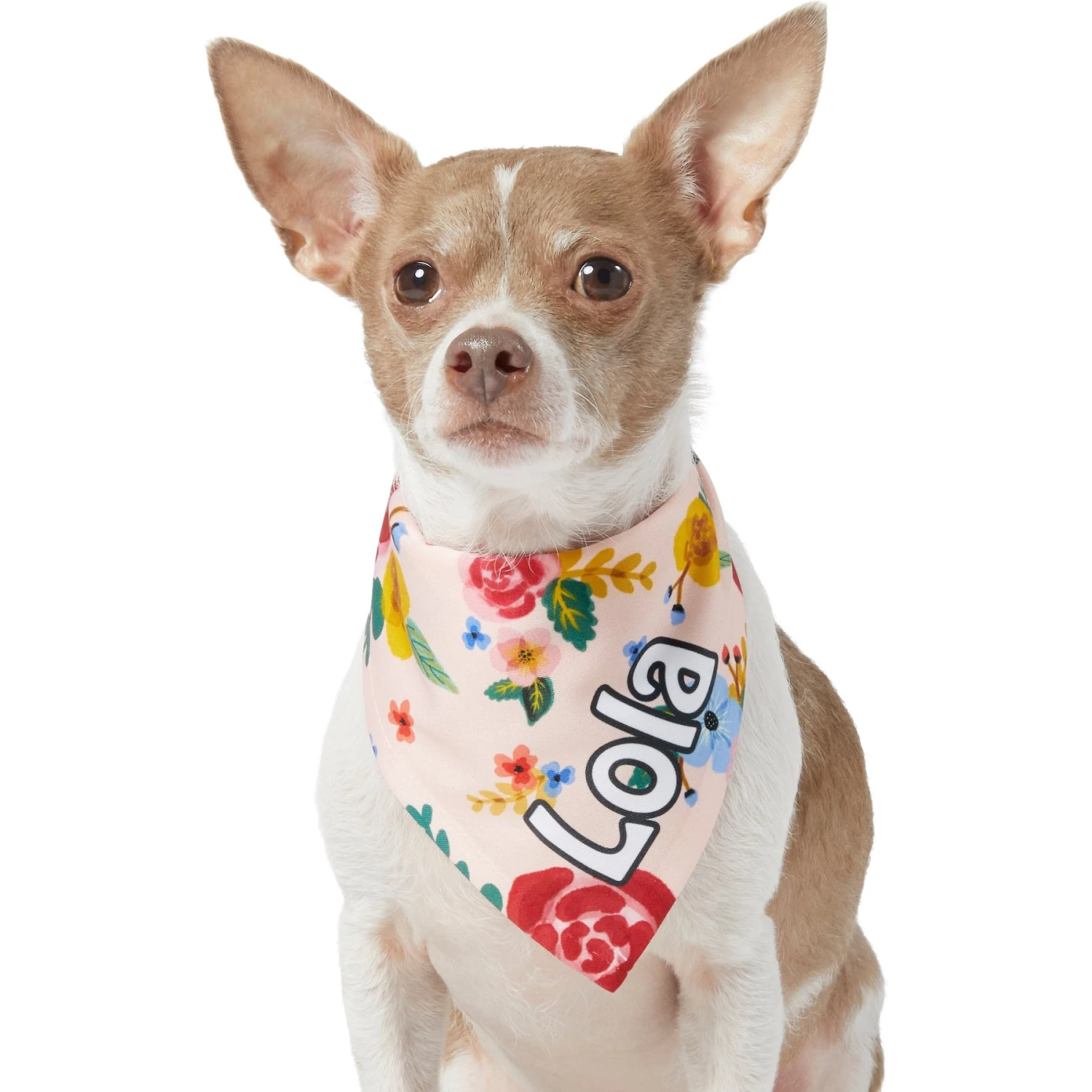 Frisco Floral Personalized Dog & Cat Bandana 9 Frisco Floral Personalized Dog & Cat Bandana - Image 7