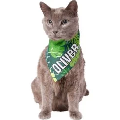 Frisco Tropical Palms Personalized Dog & Cat Bandana -Pet Cat Supplies Shop 254259 PT7. AC SS1800 V1632418584