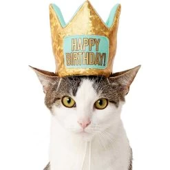 Frisco Happy Birthday Dog & Cat Crown & Frisco Dog & Cat Birthday Bandana -Pet Cat Supplies Shop 255523 PT2. AC SS1800 V1603716120