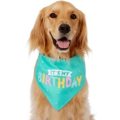 Frisco Happy Birthday Dog & Cat Crown & Frisco Dog & Cat Birthday Bandana -Pet Cat Supplies Shop 255523 PT3. AC SS1800 V1603716114